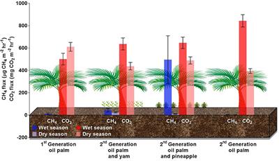 Is Intercropping an Environmentally-Wise Alternative to Established Oil Palm Monoculture in Tropical Peatlands?